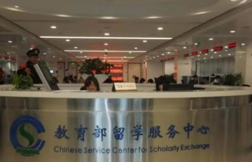 教育局最新发布 这类留学生学历或将无效，履历再好也不行