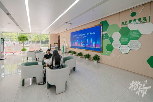 国际化政务服务大厅 64种语言同声翻译服务，开启全球沟通新篇章