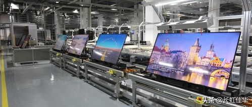 赋能未来 双月新兴能源技术研发的新活力